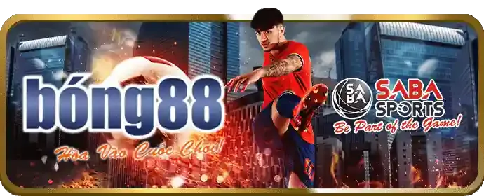 Hình ảnh minh họa lợi ích khi liên hệ min88